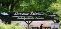 Salzhuetten_Logo.jpg